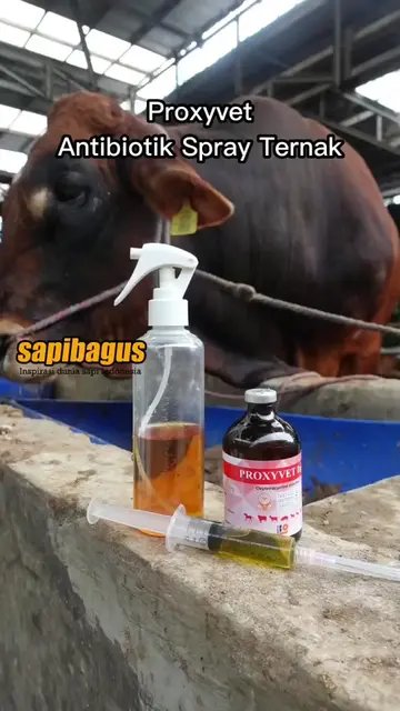 Obat-Antibiotik-Sapi-Semprot-